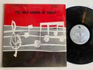 Private Song Poem Funk Breaks Samples LP The Now Sounds Of Today RAVE-ONS HEAR