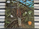 Dragonfly 1968 Megaphone Records LP Vinyl Album