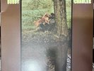 Bobby Charles - Bobby Charles (LP, Re, Gatefold, 180g, UK) 2014 NM/VG+