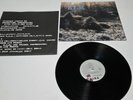 REM - Murmur Vinyl LP 1983 Original IRS Records SP70604 Sterling Stereo VG+