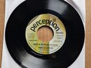 Johnny Pate's Orchestra – Brother On The Run RARE DJ PROMO 45 7