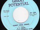 E.T. WHITE & GREAT POTENTIAL BAND  GREAT POTENTIAL BAND FUNKY SOU L VG +  45 RPM