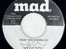 THE REGENTS What'cha Gonna Do M.a.d. Northern Soul VG++ 45 HEAR