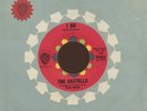 HEAR- Rare Surf / Doo Wop 45 - The Castells - Brian Wilson - I Do - Warner Bros.