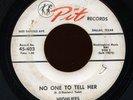 HEAR- Rare Texas Garage 45- Highlifes - No One To Tell Her- Pit Records # 45-403