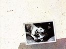 Fleetwood Mac - Tusk