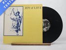 Joy Of Life Enjoy A-1 B-1 12