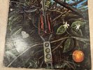 Dragonfly 1968 Megaphone Records LP Vinyl Album
