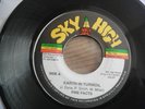 30.01.2025. - 54 - FIRE FACTS - EARTH IN TURMOIL rare JAMAICAN / ROOTS REGGAE /