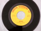 1960's Garage Rock 45  The Travel Agency   Jailbait