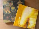 Smashing Pumpkins vinyl bundle Mellon Collie + Pisces Iscariot LP Records SEALED