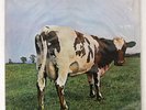 PINK FLOYD ATOM HEART MOTHER ODEON OP80102 Japan ORIGINAL RED VINYL VINYL LP