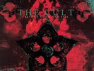 The Cult - Beyond Good And Evil (SYEOR25, Coke Bottle Green, Red, Brick & Mortar
