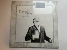 DAVID GRAY - FOUNDLING (2010 VINYL LP RECORD) - NEW/SEALED