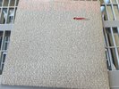 Alice Cooper Vinyl Record lp Schools Out Zipper Catches Skin
