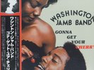 LP WASHINGTON JAMB BAND Gonna Get Your Cherr PLP7937 P-Vine Recor JAPAN