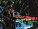 Bob Marley  The Wai - Soul Rebels - New Vinyl Record - M600z