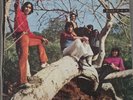 Los Diablos self titled 1970 Musimex MM 5004 LP Latin Garage Psych
