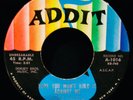 MARIE KNIGHT Hope You Won't Hold It Against MeRare Northern Soul 45 ADDIT #1016