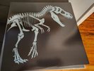Rare Jurassic Park Vinyl Score Mondo John Williams