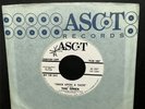 *HEAR* NM+  THE OMEN: Once Upon A Taste / Melancholy Moonlight US 45 Ascot Promo