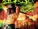 Slash Made in Stoke 24/7/11 (Vinyl)