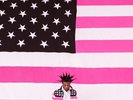 Lil Uzi Vert : Pink Tape VINYL 12