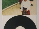 THE RADIO DEPT PET GRIEF VINYL LP 2011 LABRADOR DREAM POP SHOEGAZE RARE OOP
