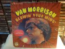 VAN MORRISON BLOWIN' YOUR MIND POP ROCK VINYL '67 BANG BLPS-218 BROWN EYED GIRL