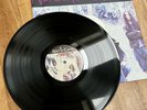 1993 ALICE IN CHAINS DOWN IN A HOLE Rooster Vinyl 12” NM