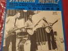 Strummin' Mental Vol  2 - VINYL LP - Link Records - Surf, Garage Rock