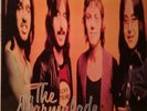 The Marmalade - Reflections Of My Life And Other Great Songs (LP, Comp)