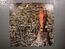 Siouxsie And The Banshees – Juju - 12
