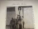 Patti Smith, Horses, Lady Studios Original Lp