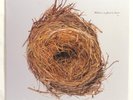 WILCO ‎– A Ghost Is Born  2005 1st US Ltd. issue vinyl 2 x LP NM   Jeff Tweedy