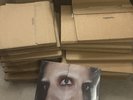 Lady Gaga MAYHEM Store Exclusive 180g Black Vinyl Alternate Signed