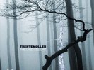 Trentemøller The Last Resort (Vinyl) 12