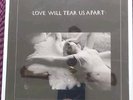 Joy Division - Love Will Tear Us Apart Framed LP  Ready to Hang On Wall.