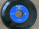 Greensboro NC Garage Band - The Night Owls - 45 EKO