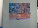 LP DIF JUZ - Extractions    UK 4AD