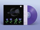Bonnie Prince Billy The Purple Bird purple Vinyl LP [New & Sealed]