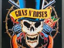 GUNS N' ROSES - Use Your Illusion I & ll 1991 BRAZIL PROMO ONLY LP Vinyl NM