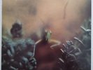 Steely Dan – Katy Lied LP ABCD-846 Vinyl First Pressing 1975 Black Friday VG+