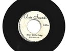 ROD TAYLOR / EVERY LITTLE THING / VERSION / 7''