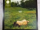 Kacey Musgraves Deeper Well Transparent Cream Vinyl ALTERNATE EDITION COVER NEW