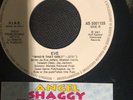 Shaggy Featuring Rayvon / Eve (2) ‎– Angel / Who's That Girl? Raro  Jb 45”
