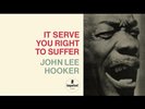John Lee Hooker - It Serve You Right To Suffer (Verve Acoustic Sounds Series) [N