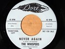 The Whispers - Never Again - DORE 729 M- PROMO SOUL