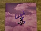 Stone Temple Pilots - Purple Rarities RSD Black Friday 2024 Vinyl LP