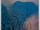 Vtg PINK FLOYD Album MEDDLE Record 1983 PRESSING Vinyl ECHOES Lp OG NEAR MINT